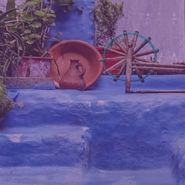 Gay Group Trips: Gay Antarctica